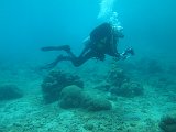 Curacao 04-12 039
